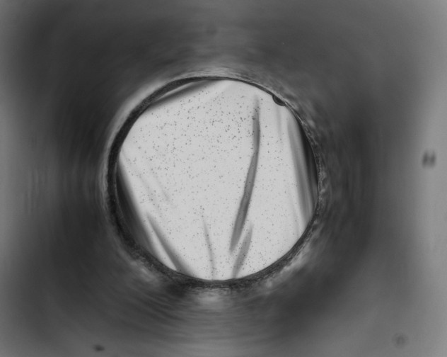 X0000102510200200809051418