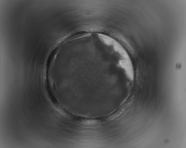 X0000102510202200809051418