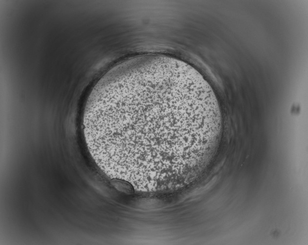 X0000102510203200809051418