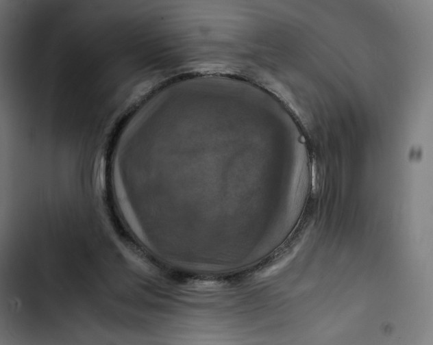 X0000102510205200809051418