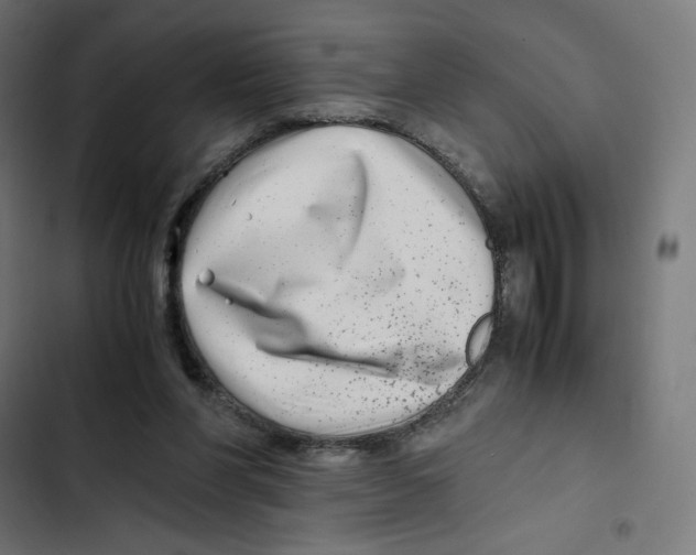 X0000102510206200809051418
