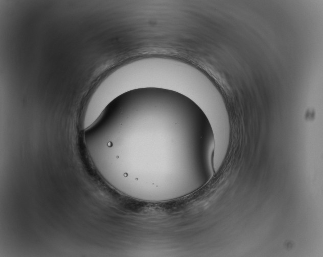 X0000102510207200809051418