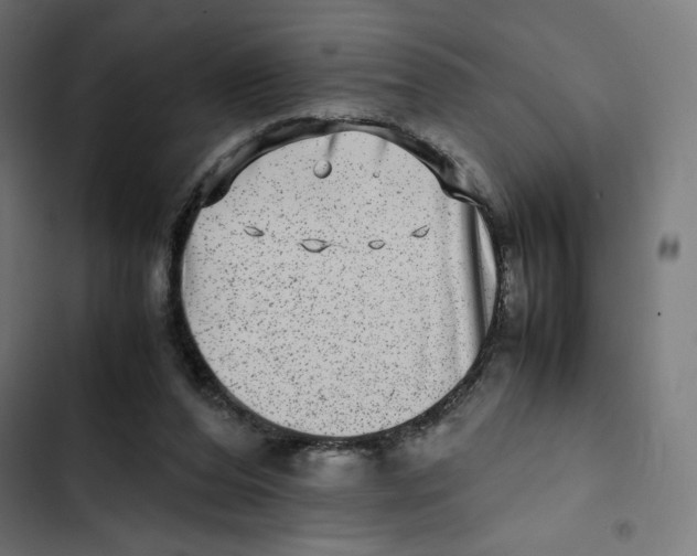 X0000102510208200809051418