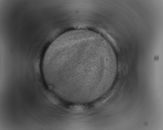 X0000102510209200809051418