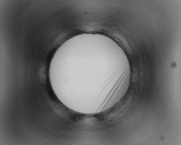 X0000102510210200809051418