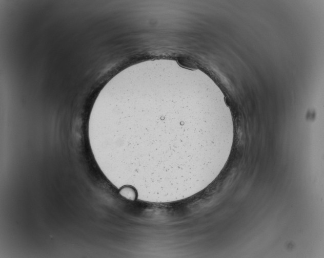 X0000102510211200809051418