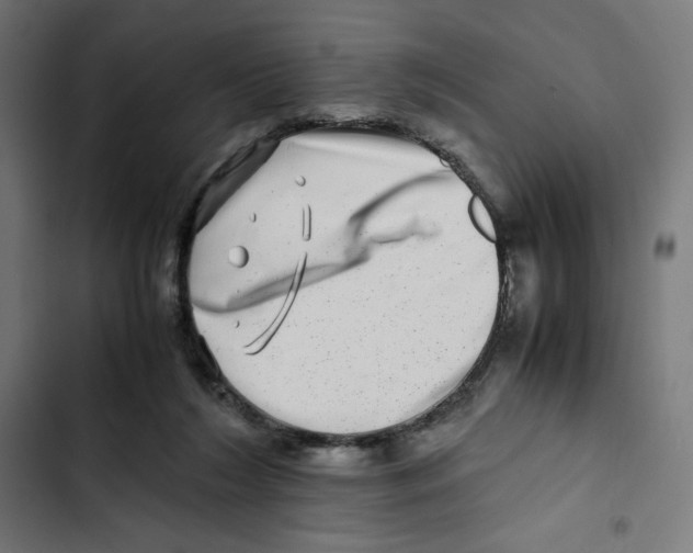 X0000102510212200809051418