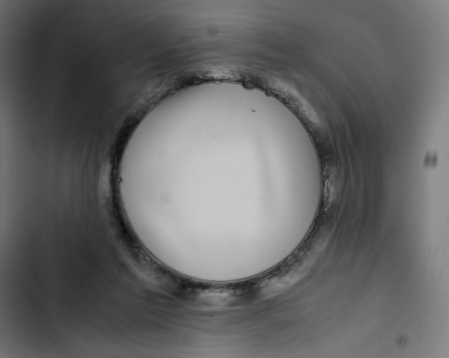 X0000102510213200809051418