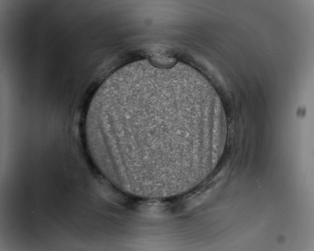 X0000102510217200809051418