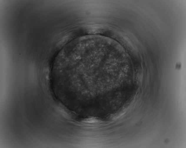 X0000102510219200809051418