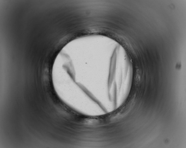 X0000102510220200809051418