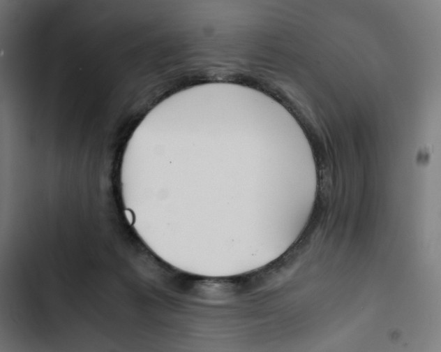 X0000102510221200809051418