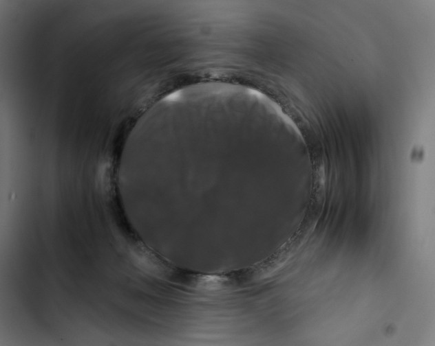X0000102510222200809051418