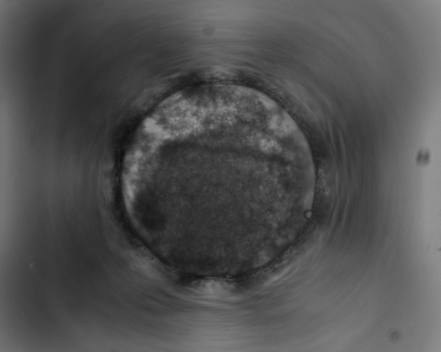 X0000102510223200809051418