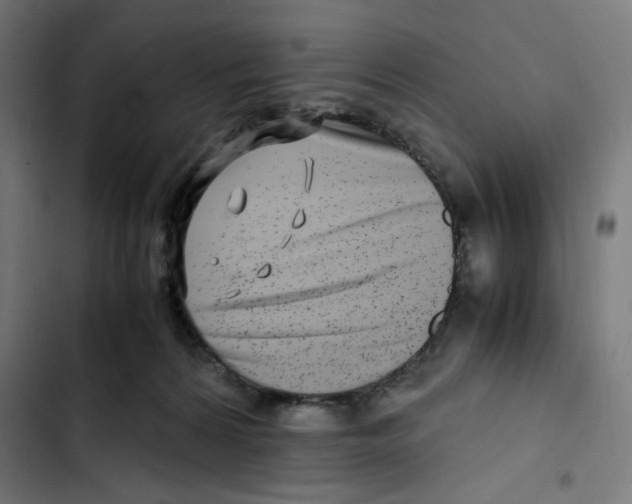 X0000102510224200809051418