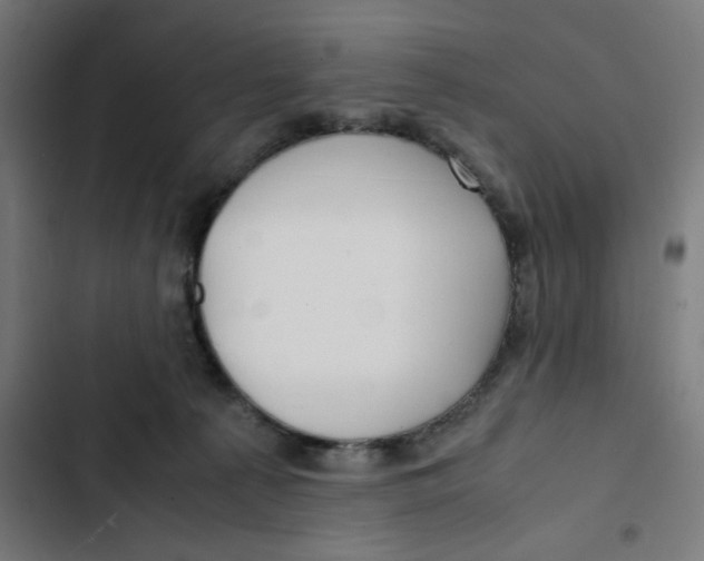 X0000102510225200809051418