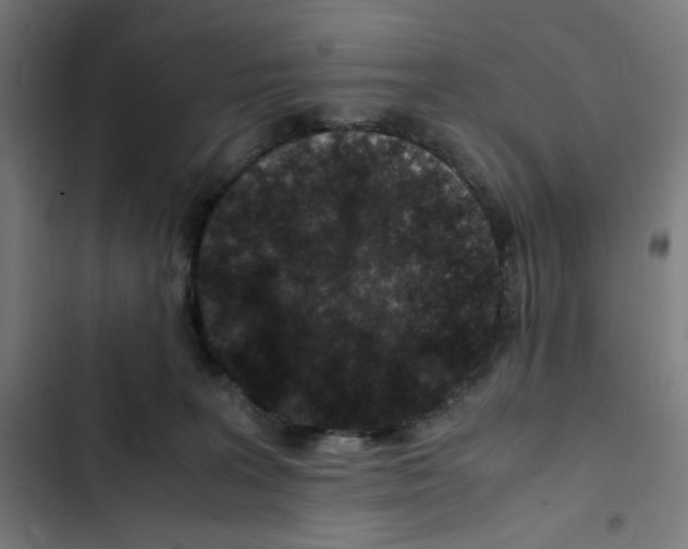 X0000102510227200809051418