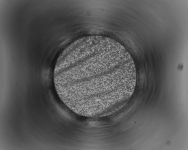 X0000102510228200809051418