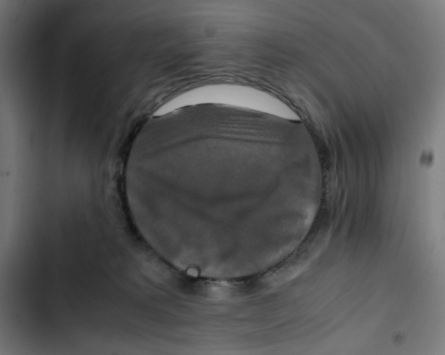 X0000102510229200809051418