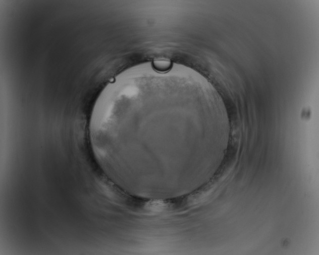 X0000102510231200809051418
