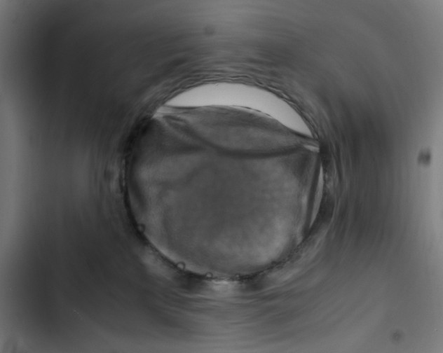 X0000102510233200809051418