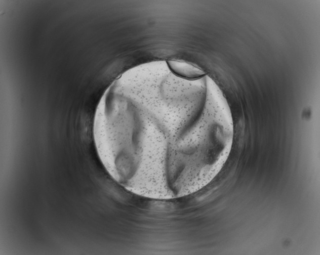 X0000102510234200809051418