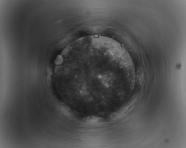 X0000102510235200809051418
