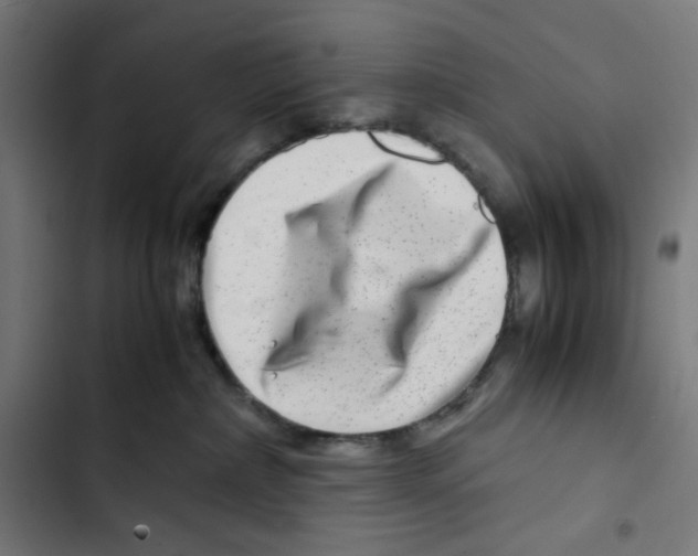 X0000102510236200809051418