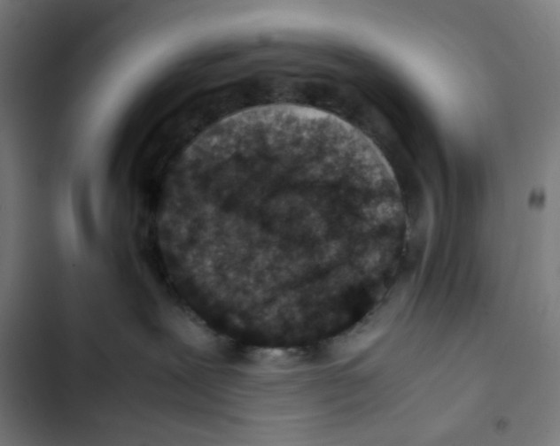 X0000102510239200809051418