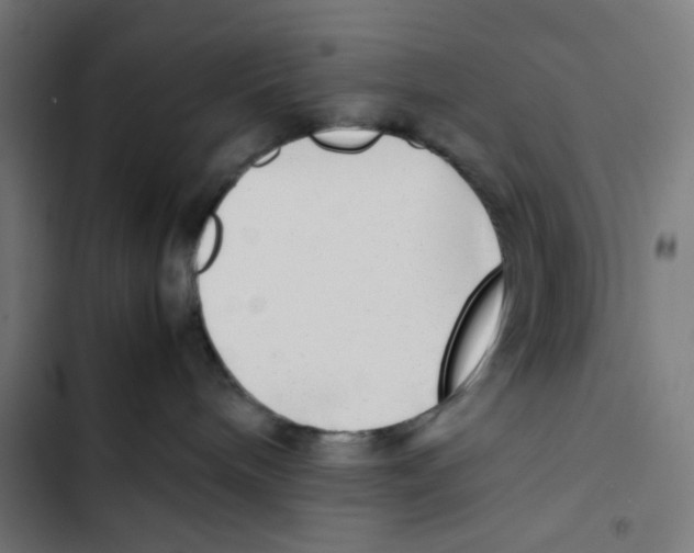X0000102510240200809051418