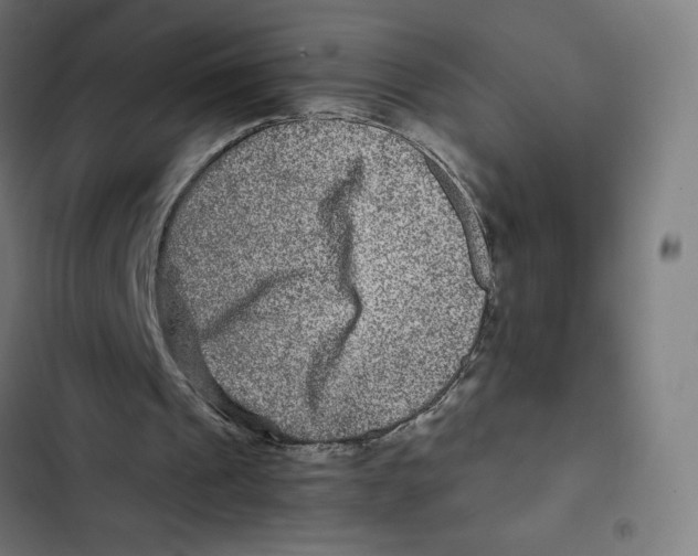 X0000102510241200809051417