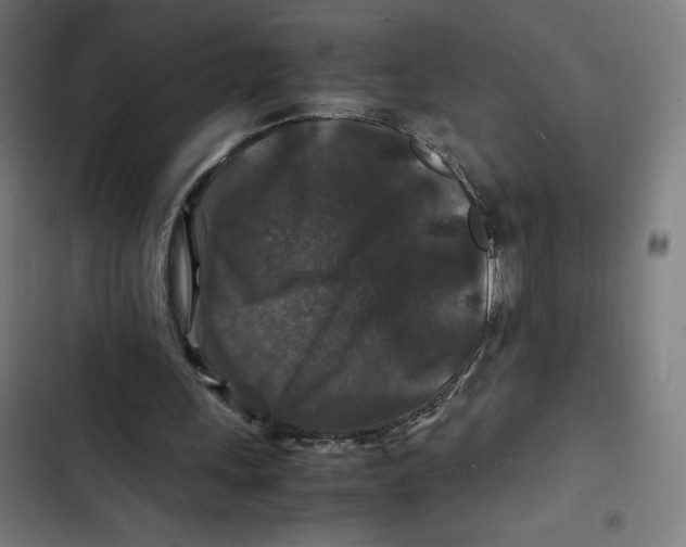 X0000102510243200809051417