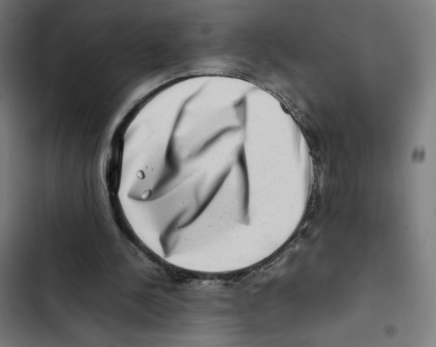 X0000102510244200809051417