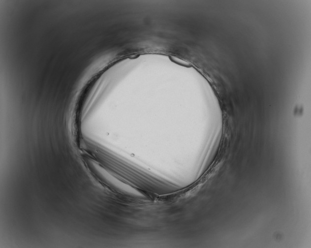X0000102510245200809051417