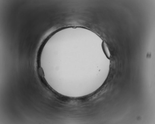 X0000102510248200809051417