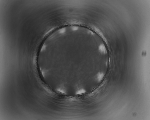 X0000102510249200809051417