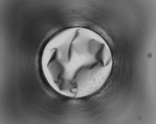X0000102510250200809051417