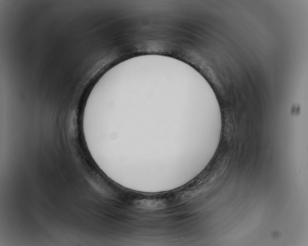 X0000102510251200809051417