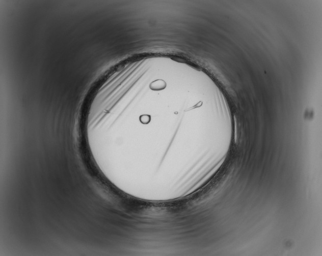 X0000102510252200809051417