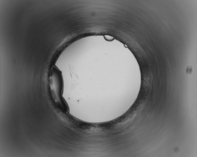 X0000102510256200809051417