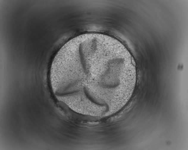 X0000102510257200809051417