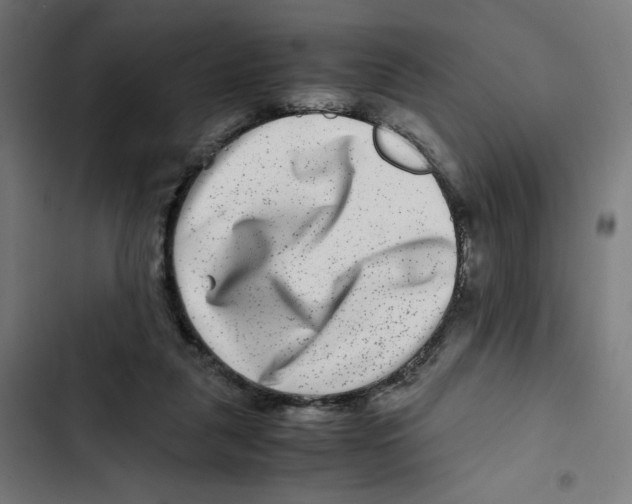 X0000102510259200809051417