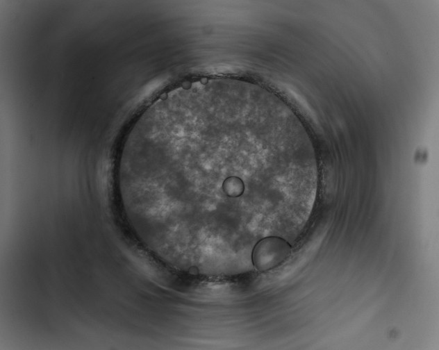 X0000102510260200809051417