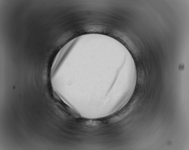 X0000102510261200809051417