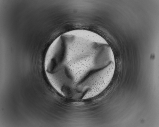X0000102510266200809051417