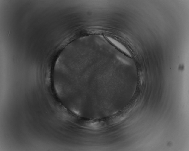 X0000102510267200809051417