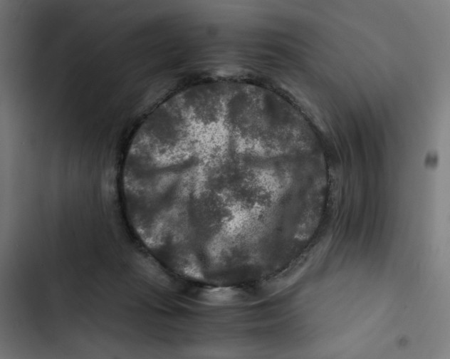 X0000102510269200809051417