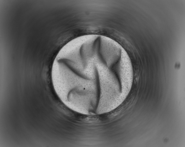 X0000102510270200809051417