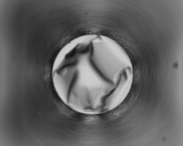 X0000102510274200809051417