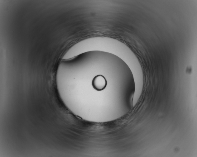 X0000102510276200809051417